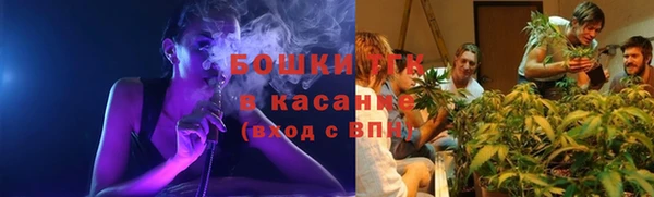 шишки Алексин