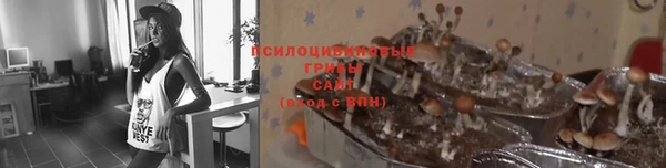 шишки Алексин