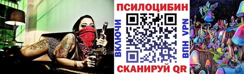 Галлюциногенные грибы Magic Shrooms  сколько стоит  Закаменск 